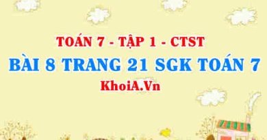 Bài 8 trang 21 SGK Toán 7 tập 1 Chân trời sáng tạo